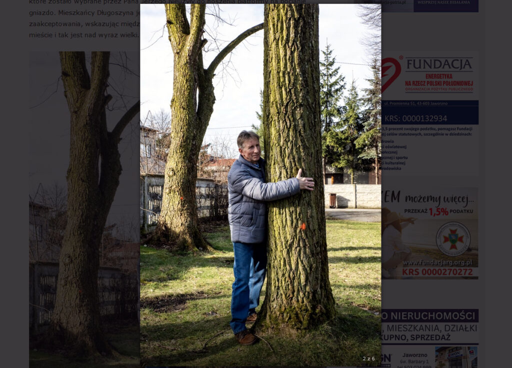 Radny Rady Miejskiej w Jaworznie Jerzy Nieużyła obejmuje rękami drzewo.